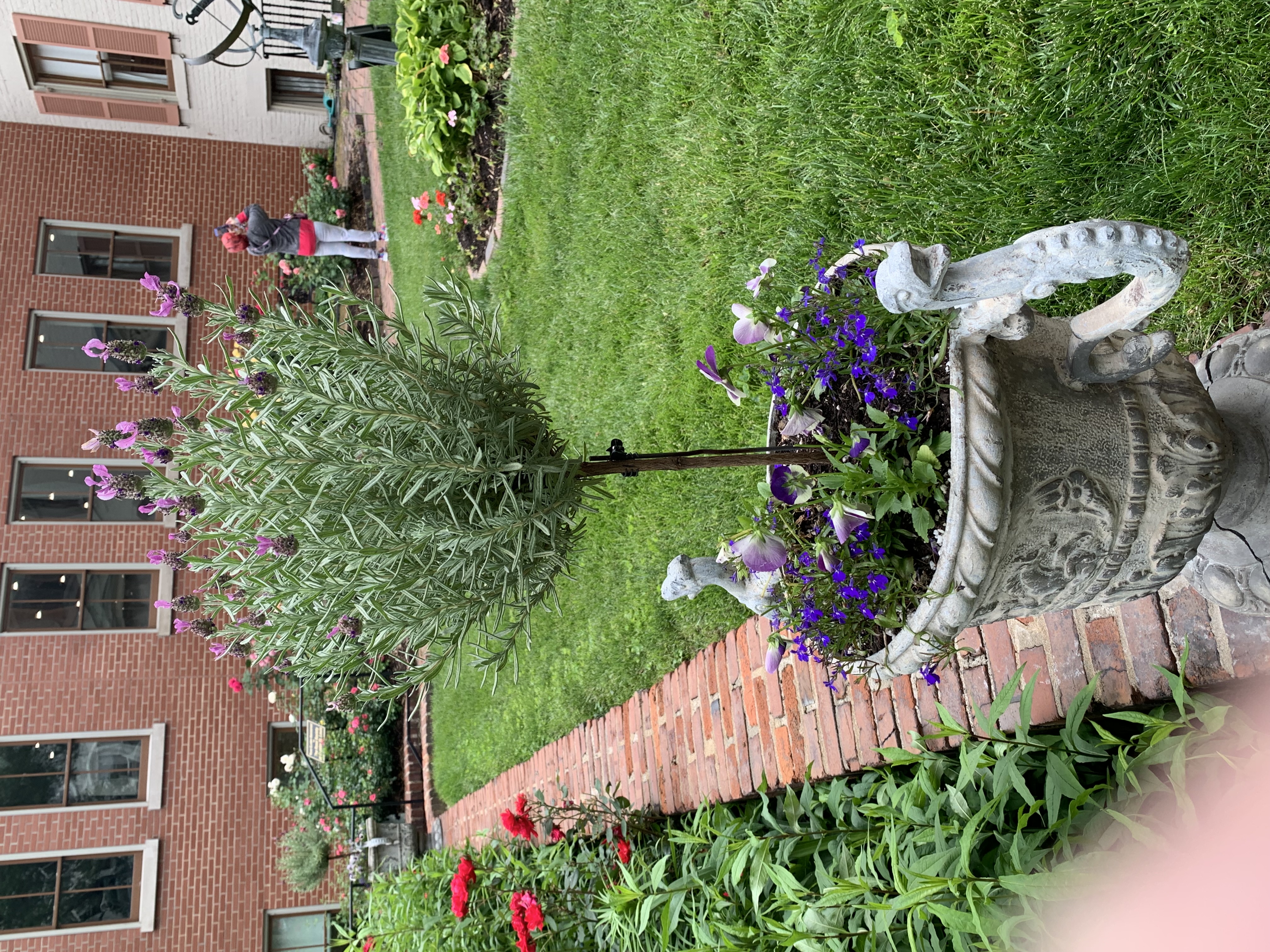 ./2022/06 - St Louis/06 - Day 6/20220526-140016776.JPG